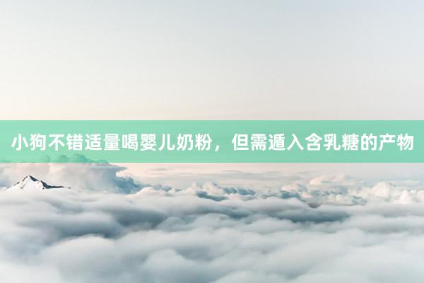 小狗不错适量喝婴儿奶粉，但需遁入含乳糖的产物