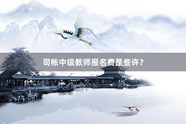 司帐中级教师报名费是些许？