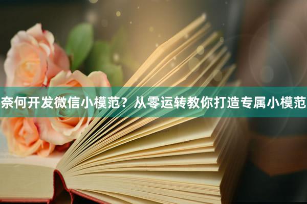 奈何开发微信小模范？从零运转教你打造专属小模范