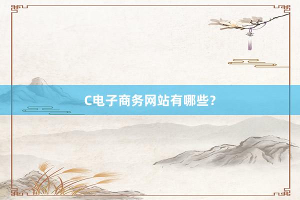 C电子商务网站有哪些？